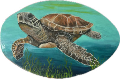 Turtle Skimboard 2